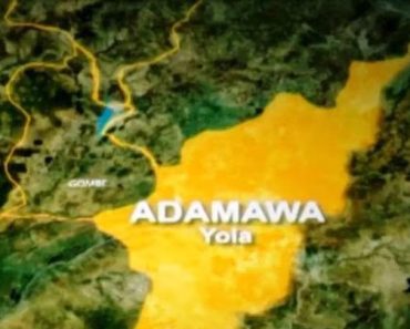 INEC suspends Adamawa REC for announcing APC’s Binani winner