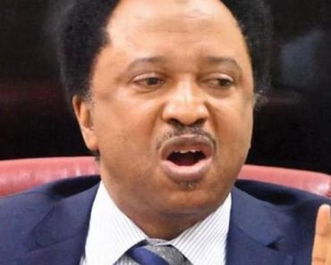 Shehu Sani Floors Omokri, Dishes Out Geo-Political Zones Doing Drugs In Different Continents