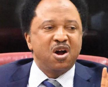 Sen. Sani Reacts to Femi Adesina’s Statement that It’s Not the FG’s Duty to Create Jobs – Reactions