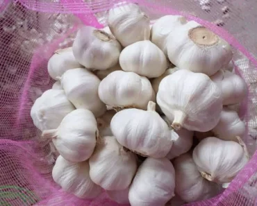 You should stop consuming garlic immediately, if you are suffering from any of these conditions