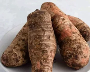 Health Problems You Never Knew Cocoyam Could Help Manage Or Prevent