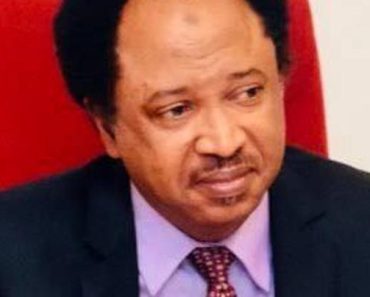 BREAKING: Shehu Sani Reacts As Senate Is Yet To Clear El Rufai Based On Security Report