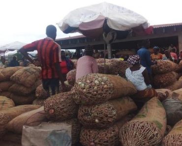 JUST IN: Onion traders use Nigeria route after Benin and Burkina Faso border closure