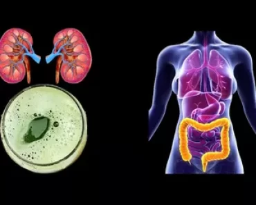 (Video) The Only Drink You Need If You Want To Clean Your Kidneys And Colon!