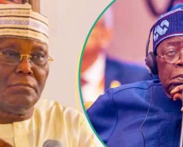 How Atiku Reacts as BBC Report Says No Evidence Tinubu Forged Chicago University Certificate