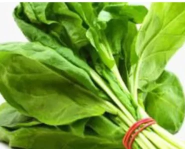 When You Eat Spinach Every Day This Is What Will Happen To your body