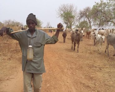 BREAKING: Herders flee as bandits kill 9 in FCT