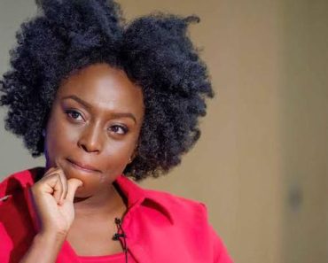 Nigeria: Presidency – There Are Many Igbo Men I Admire but Can’t Vote for – Chimamanda