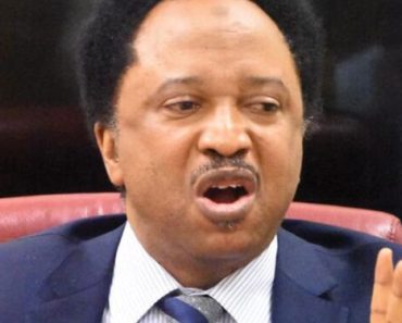 *Lady falls victim to Lagos ‘one-chance’ syndicate (Guardian)*Without OBIdients, Nigeria would have been swept over by tyranny — Shehu Sani (Tribune)