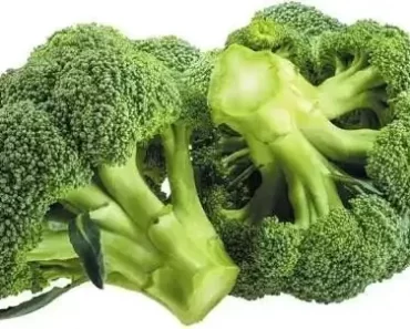 Best Green Vegetables That Can Help To Increase The Amount Of Blood In Your Body
