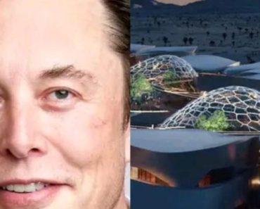 BREAKING: A Look Into Elon Musk’s Hotel on Mars Set To Go For $ 5M Per Night