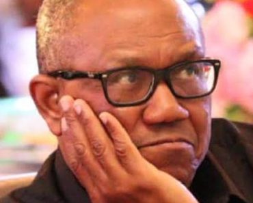 [Watch Video] Peter Obi was double nominated when he contested under LP, he was a member of PDP- Tinubu to court