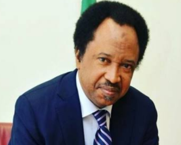 BREAKING: “Do Not Drag Us to War”, Shehu Sani Faults ECOWAS Military Power, Sends Words to President Tinubu, Others