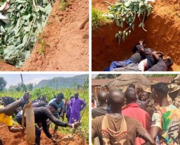 BREAKING: Gunmen kill three persons in Kaduna village