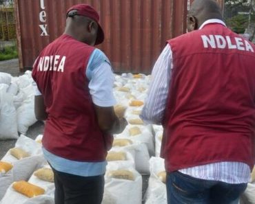 How NDLEA Arrests Wanted Kingpin, Obiorah Chigozie, in Another Attempted Shipment to UK