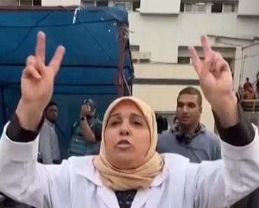 Watch Heartbreaking Moment Gaza Doctor Finds Husband’s Body Among Dead Brought to Al-Shifa Hospital